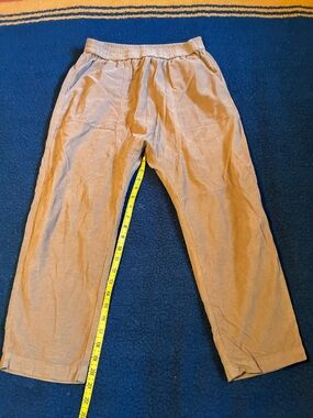 Raquel Allegra Casual Brown Elastic Waist Pants